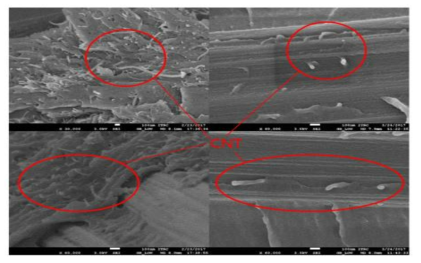 CNT를 활용한 고성능 SMPC의 파단면 SEM IMAGE