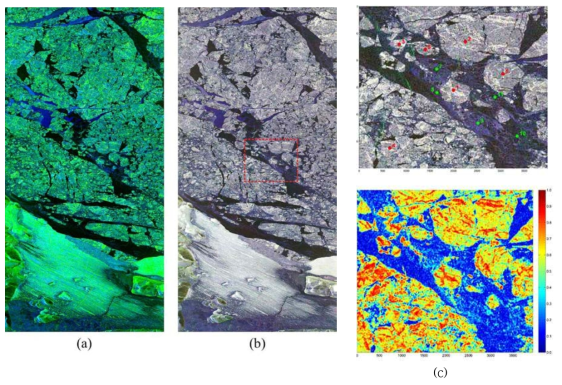 이번 연구에 사용된 TerraSAR-X quad-pol SAR 자료: (a) Freeman-Durden decomposition 영상으로 해빙은 녹색, 해수는 검은색 및 brash ice는 청색으로 잘 나타난다. (b) Pauli decomposition 영상으로 해빙은 밝은 회색, 해수는 검은색 및 brash ice는 청보라색으로 잘 구분된다. (c) 연구지역 내 대표적인 해빙(1-6)과 brash ice(7-11)의 위치(상)와 이 자료 cross-pol pair의 coherence map (하). 해빙은 매우 높은 coherence를 보이고 있으며, brash ice도 0.5 이상의 coherence를 보이나, 해수 분포지역은 매우 낮은 coherence를 보인다