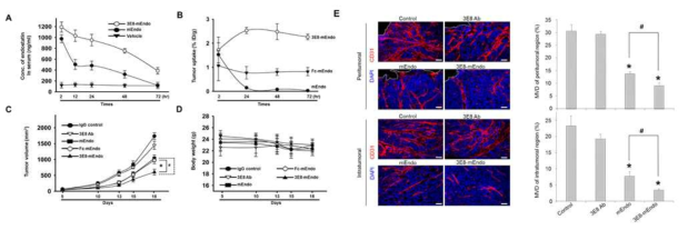 Endostatin-TAG-72 항체 융합단백질의 암세포 특이적 타겟팅 및 암혈관 억제를 통한 종양 저해 효능