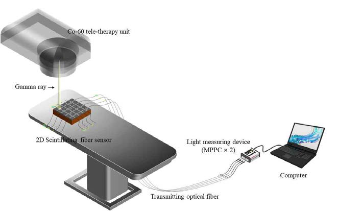 2차원 섬광광섬유를 이용한 감마선 조사 위치판별을 위한 실험구성