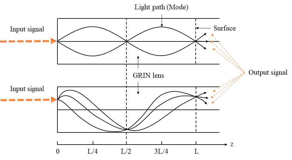 반경형 GRIN 렌즈에서 입력 신호의 위치에 따른 빛의 이동경로(모드)