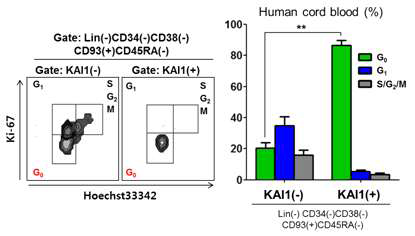 인간 유래 최상위 조혈모세포의 KAI1 양성 세포가 휴면 세포인 것을 cell cycle analysis로 확인 함