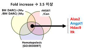 DARC(+)Macrophage 그리고 DARC(-)Macrophage RNA-seq 결과와 Hematopoiesis onotology 분석 결과