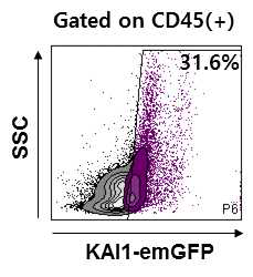 Kai1-emGFP 마우스의 BM의 leukocyte에서 KAI1-GFP 발현 검증 [FACS analysis]