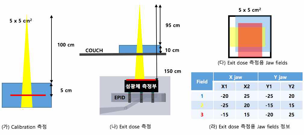 생체선량 측정 시스템의 성능검증을 위한 측정