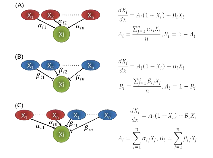 대규모 네트워크에 대한 동역학 시뮬레이션을 수행하기 위한 미분방정식 모델. (A) 특정 노드를 활성화시키는 인자만 존재하는 경우 또는 (B) 억제하는 인자만 존재하는 경우, 그리고 (C) 두 가지 인자가 함께 존재하는 경우로 나누어 수식을 기술함