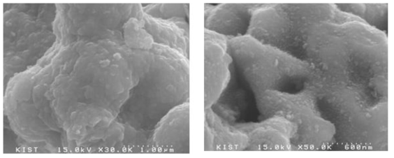 Al 15wt%함유 Ni-Al 합금 분말의 5M NaOH를 이용한 alkaline leaching 전(좌)과 후(우) SEM 사진