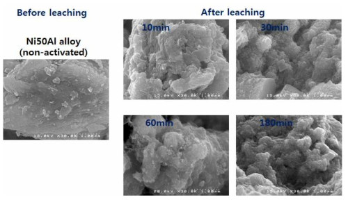 Ni50Al 합금 분말의 aluminum leaching 시간에 따른 표면 형상의 변화