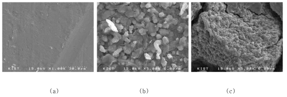 Ni plate(a), aluminized Ni plate(b) 그리고 leaching process 후의 aluminized Ni plate (c) SEM 사진