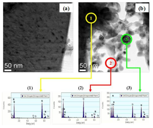 전처리 전(a), 후(b) Ni-Cr 촉매 TEM-EDS 사진 (전처리 조건은 700℃에서 산화 후 700℃에서 환원)