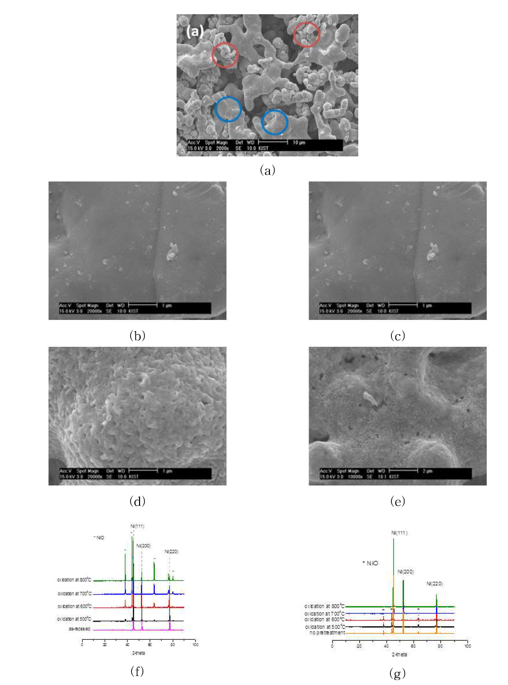 Ni-Al 촉매 분석 결과: (a) 촉매의 전체적인 SEM 사진, (b)와 (c)는 각각 사진 (a)에서 파란색, 빨간색 원에 해당하는 부분을 확대한 SEM 사진; (d)는 700℃에서 2시간 동안 산화시킨 후 시편 사진, (e) 700℃에서 2시간 동안 산화 시킨 후 1시간 동안 환원 후 시편 사진, (f) 다양한 온도에서 2시간 산화 후 촉매 표면의 XRD 결과, (g) 다양한 온도에서 산화 시킨 촉매를 개질 반응을 시킨 후의 XRD 결과