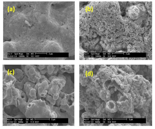 촉매 SEM 분석 결과: (a) CeO2 코팅이 안 된 Ni-Al 촉매의 표면, (b) 5wt% CeO2 코팅이 된 Ni-Al 촉매의 표면, (c) CeO2 코팅이 안 된 Ni-Al 촉매의 단면, (d) 5wt% CeO2 코팅이 된 Ni-Al 촉매의 단면