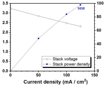 100W급 스택의 성능 (운전시간 1254시간)