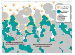 Schematic representation of the H2S poisoning of the Ni electrode and of the electrolyte