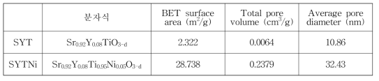 SYT 및 SYTNi의 비표면적