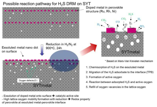 귀금속 도핑된 SYT 위에서의 환원 전처리 후 H2S 존재하에서 메탄 건식 개질 반응의 가능한 반응 경로 (reaction step)