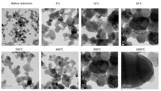 전처리 전 (before reduction), 900℃에서 각각 4, 12, 24시간 수소 분위기에서 전처리한 촉매와 700℃, 800℃, 900℃, 1000℃에서 24시간 수소 분위기에서 전처리한 SYTRu5 촉매의 TEM 이미지