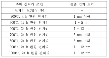 SYTRu5의 전처리 조건에 따른 돌출 입자의 크기