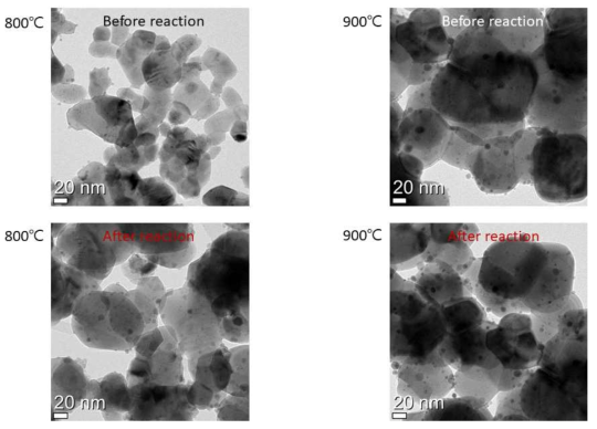 SYTRu5 촉매의 각각 800℃ 및 900℃에서 전처리한 촉매의 100 ppm의 H2S 존재 하에서의 장시간 메탄 건식 개질 반응 전후의 TEM 이미지