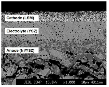상용 SOFC의 단면 SEM 이미지