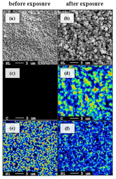 Ni-YSZ 금속 세라믹 접합체를 750℃에서 질소에 희석된 11.5 mol% 농도의 메탄에 1000분 동안 노출시켰을 때, 시편 표면에 대한 SEM 사진과 탄소와 니켈의 EPMA 매핑 사진: 탄소 침적 전 Ni-YSZ 금속 세라믹 접합체 (a,c,d), 탄소 침적 후 Ni-YSZ 금속 세라믹 접합체 (b,d,f)