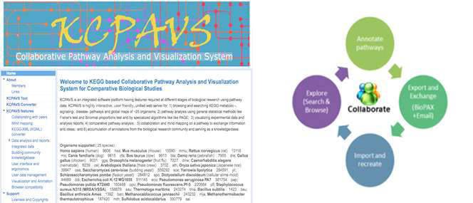 KCPAVS 홈페이지. 연구자 간 공동연구를 뒷받침하는 플랫폼