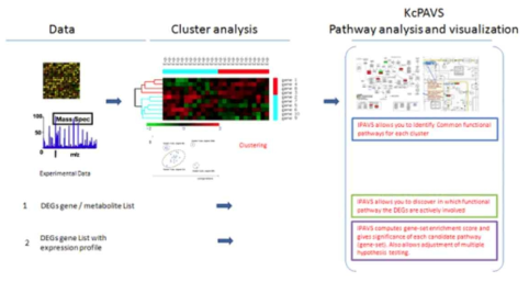 대용량데이터를 업로드하여 주요 pathway를 산출하고 유전자들간의 clustering을 분석함