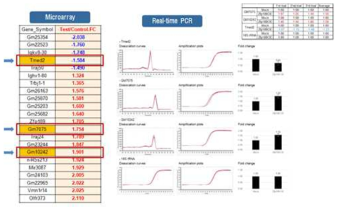 Zfp189 하위유전자들의 real-time PCR을 통한 검증. 분석이 가능한 3종의 유전자들에 대한 결과