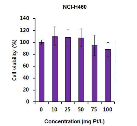 다공성 백금나노입자에 의한 폐암 세포주 에서의 세포독성 확인 결과