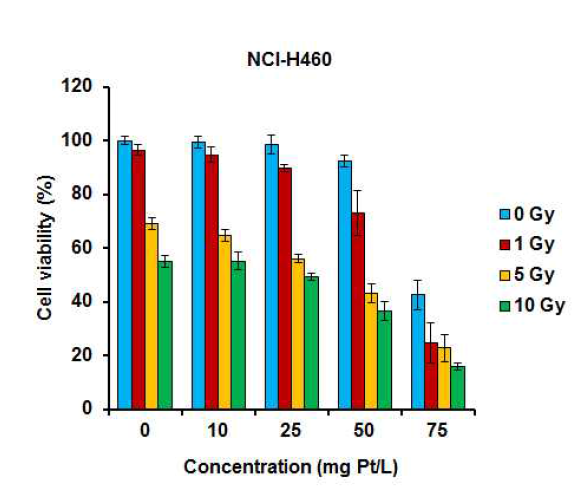 다공성 백금나노입자의 처리가 폐암세포주에 대한 방사선 치료 효과에 미치는 영향