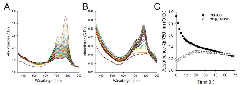 (A) 자유 상태의 인도시아닌 그린과 (B) 중공 메조다공성 실리카 나노입자에 적하된 인도시아닌 그린의 섭씨 37도에서의 UV-Vis 흡광 스펙트럼 비교. 시작점 (A는 가장 위의 빨간 선, B는 가장 아래의 빨간 선)부터 각 2시간마다 측정하여 70시간까지 측정함. (C) 꼭대기 흡광도의 변화 (780 nm)