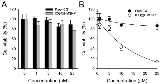 (A)나노입자의 세포 독성 평가. 자유상태의 ICG 또는 ICG@HMSNP를 여러 농도에서 암세포주에 24시간 처리한 후, 세척 및 24시간의 추가 배양 후 측정한 세포 생존도. 높은 농도에서도 80% 이상의 세포 생존율을 보이는 것을 통하여, ICG가 탑재된 중공 메조다공성 나노입자의 생체 적합성을 확인할 수 있었음. (B) In vitro phototoxicity test. 여러 농도로 처리 후, 세척하고 810 nm CW 레이져 (1W/cm2, 10 분)를 조사하였음. 24시간 후에 세포 생존율을 측정한 결과. Free ICG에 비하여 ICG@HMSNP가 매우 높은 광독성 효과를 얻을 수 있었음