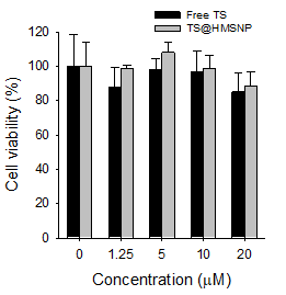 자유상태의 TS 및 TS@HMSNP를 여러 농도에서 암세포에 4시간 처리한 후, 세척 및 24시간의 추가 배양 후 측정한 세포 생존율. TS를 탑재한 중공 메조다공성 나노입자의 경우에도 우수한 생체 적합성을 보임을 확인할 수 있었음