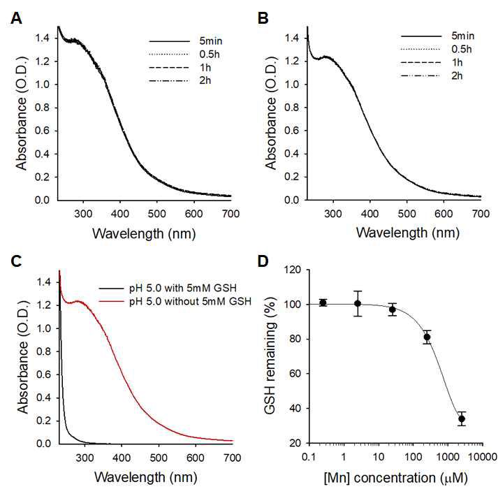 GSH유무에 따른 각각의 pH에 수용액상에서 망간 산화물 나노입자의 안정성 분석. MnO2 나노입자의 UV/Vis 흡광 스펙트럼을 (A) pH 7.4 및 (B) pH 5.0 조건하에서 각 시간별로 측정한 결과. (C) pH 5.0에서 5 mMGSH 처리 후 5분 후에 측정한 MnO2 나노입자의 UV/Vis 흡광 스펙트럼. 세포내 GSH 농도인 5 mM GSH를 5분 동안 처리 시에 망간 산화철 나노입자의 흡광도가 사라지는 것을 알 수 있었음. (D) GSH 수용액에 다양한 농도의 MnO2 나노입자를 처리하고, 남아 있는 GSH의 양을 분석한 결과. MnO2 나노입자에 의하여 GSH의 양이 줄어드는 것을 알 수 있음