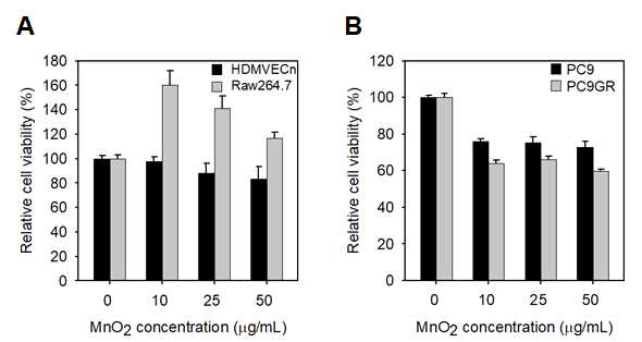 MnO2 나노입자를 처리한 세포에서의 세포 생존율 측정. (A) 정상 세포주인 HDMVECn(human primary dermal microvasculature endothelial cells from neonatal foreskin) 및 Raw264.7 (murine macrophage) cells에 대한 결과. 정상세포에 대해서는 50 μg/mL 농도까지도 독성을 보이지 않았으며, 대식세포인 Raw264.7 세포의 경우에는 오히려 세포 생존율이 증가하였음. (B) PC9 (human NSCLC) 및 gefitinib resistance (GR) PC9 cells (PC9GR)에 대한 결과. MnO2 나노입자를 처리에 의해서 두가지 암세포 모두 농도 의존적으로 세포 생존율이 감소하였으며, 특히 50 μg/mL 농도에서의 생존율은 72.9 % (PC9) 및 59.8% (PC9GR)을 보였음