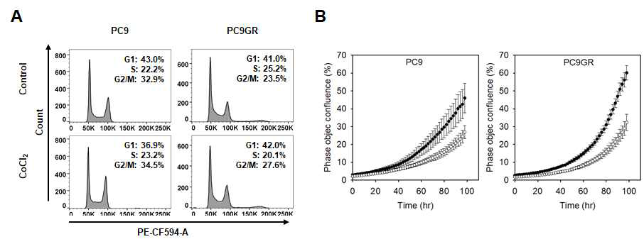 CoCl2를 처리 하지 않은 경우와 처리했을 때에 PC9와 PC9GR세포의 세포 주기 및 증식에 미치는 영향 분석 결과. (A) 세포주기를 분석하기 위한 유세포 실험 결과. (B) CoCl2 처리 한 경우 (○) 또는 CoCl2 처리 하지 않은 경우(●)에 세포 점유율 증가 곡선