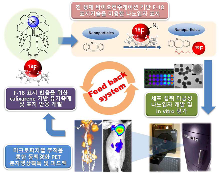 기술 개발 개념도