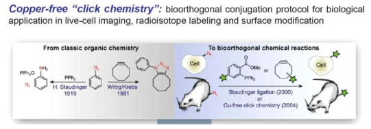 bioorthogonal 컨주게이션 기법을 이용한 세포 표지 반응