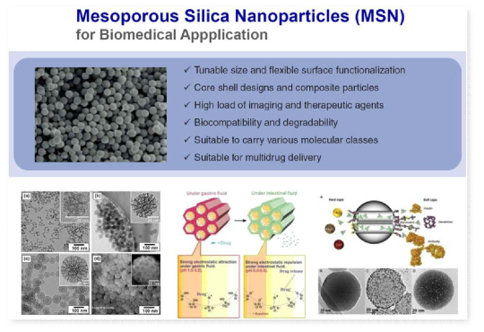 생체적용 다공성 나노입자 약물전달시스템 활용 예