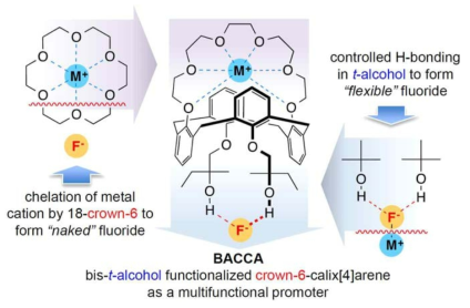 Conceptualization of bis-tert-alcohol-functionalized crown-6-calix[4]arene (BACCA) as a multifunctional organic promoter