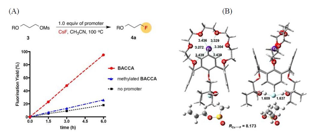 (A) Nucleophilic fluorination reaction using CsF with BACCA, methylated BACCA, or without any promoter. The quantity of product was determined by 1H NMR spectroscopy. R = naphthyl. (B) calculation study - two views of the pre-reaction complex