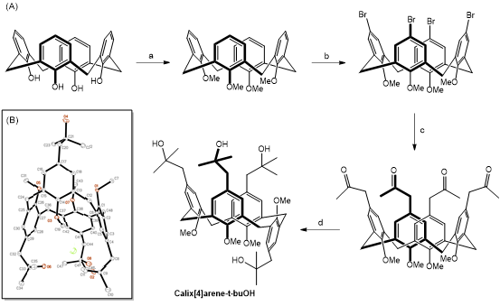 (A) Synthesis of tert-Alcohol-Substituted Calix[4]arene. 반응조건: (a) CH3I, NaH, DMF, 60℃, 24h; (b) NBS, 2-butanone, RT, 24 h; (c) [Pd(cinnamyl)Cl]2, L1, Cs2CO3, acetone, 90℃, 16h; (d) CH3MgBr, THF, 0℃C to RT, 3 h; (B) X-ray crystallography of calix[4]arene-t-buOH