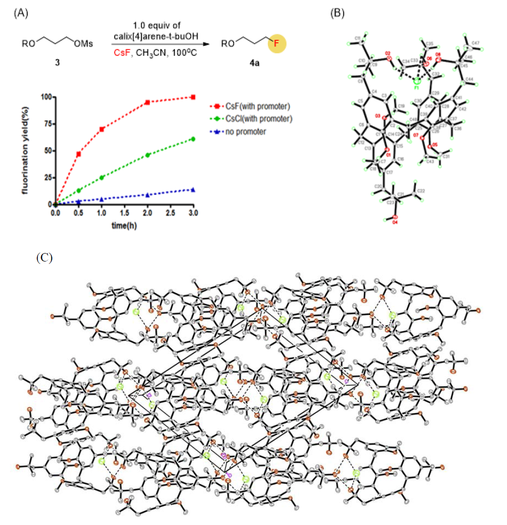 (A) Nucleophilic fluorination reaction using CsF with promoter 4, with promoter 4 or without any promoter. The quantity of product was determined by 1H NMR spectroscopy. R = naphthyl. (B) and (C) Crystal formation of reactive ‘flexible’ fluoride by reverse phase transfer catalyst using promoter 4 with TBAF