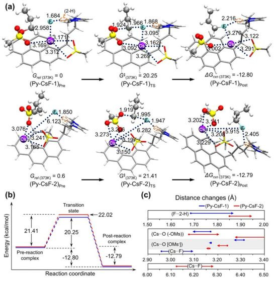 (A) Structures of the pre-/post-reaction complexes, transition states and their relative Gibbs free energetics (a), reaction profiles (b) for [PIL + CsF + C3H7OMs]system,andchanges in distances from pre-reaction complexes to transition states(c). (Energy and distances in kcal/mol and Å, respectively. Arrow tails and heads are distances in pre-reaction complex and transition state, respectively). (Grel(373K):relativeGibbsfreeenergy,G‡ (373K) Gibbs free energy of activation, Δ Grxn(373K): Gibbs free energy of reaction at 373 K)