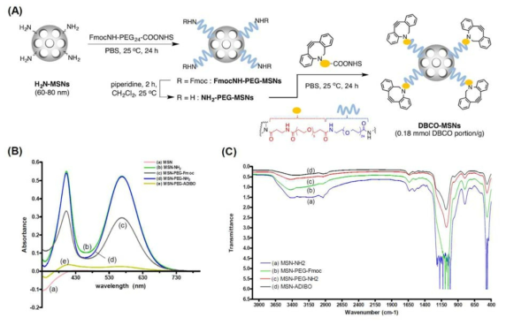 (A) Preparation of DBCO ligated MSNs (DBCO-MSNs). DBCO = aza-dibenocyclooctyne. PEG = polyethylene glycol. MSNs = mesoporous silica nanoparticles. NHS = N-hydroxylsuccinimide ester. (B) Ninhydrin test of MSN derivatives by UV-VIS spectrameter. (C) FT-IR spectra of MSN derivatives