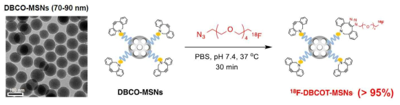 생체모방조건에서 나노입자 F-18 표지 반응. DBCO와 ADIBO는 같은 구조임(보고서에서 혼용되어 사용됨)