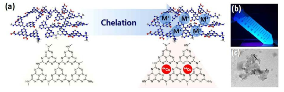 (a) 킬레이터 도입 없이 2차원 카본나이트라이드(OCN) 나노 입자 자체를 이용한 Cu-64 표지 반응. (b) Cu-64 표지 OCN 나노입자의 PL 효과 (c) Cu-64 표지 OCN 나노입자의 TEM 사진