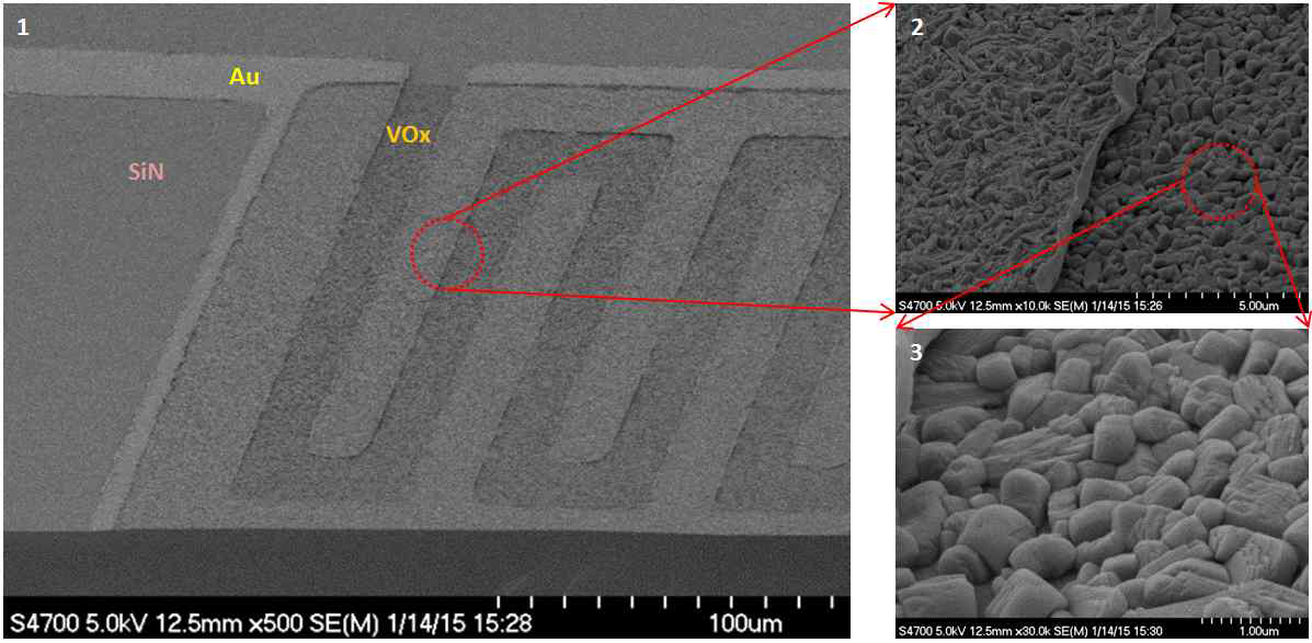 V2O5 thermistor의 SEM 이미지