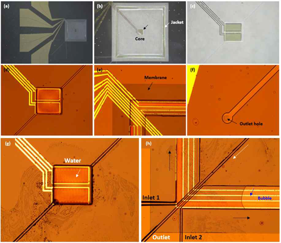 (a-f) 물흡수체 채널이 집적된 완성된 열량계의 부분별 사진 (g-h) 물이 주입되고 있는 core, jacket 채널