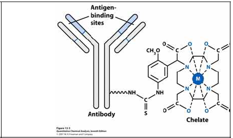 킬레이트-리간드항체복합체 모식도
